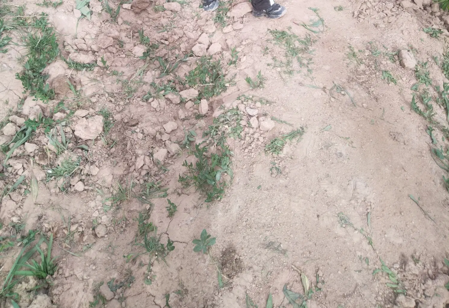 فروش زمین روستا