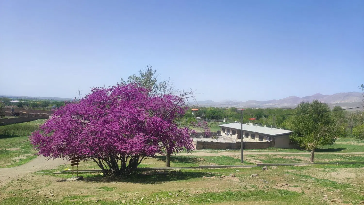 زمین مسکونی ۲۶۰ متری اشنستان