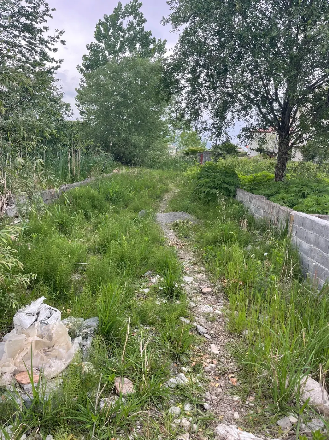 قطعه  ۱۳۰متری خوش قواره  تازه آباد