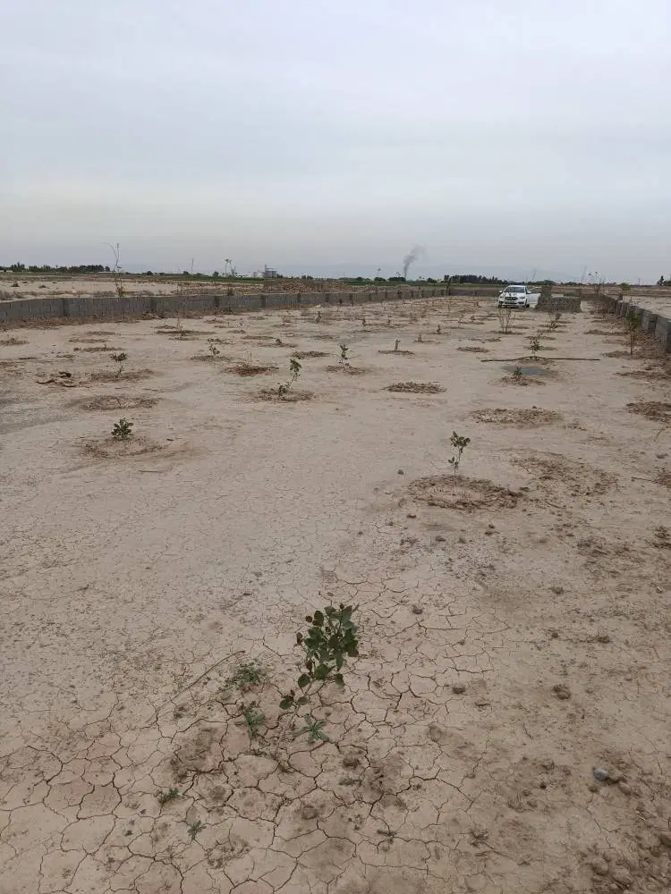 زمین چهاردیواری تجاری  1300متری باغخواص