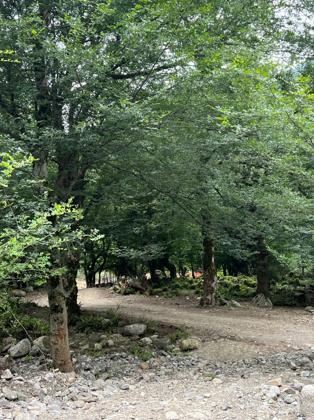 زمین روبه روی سینما عمیق