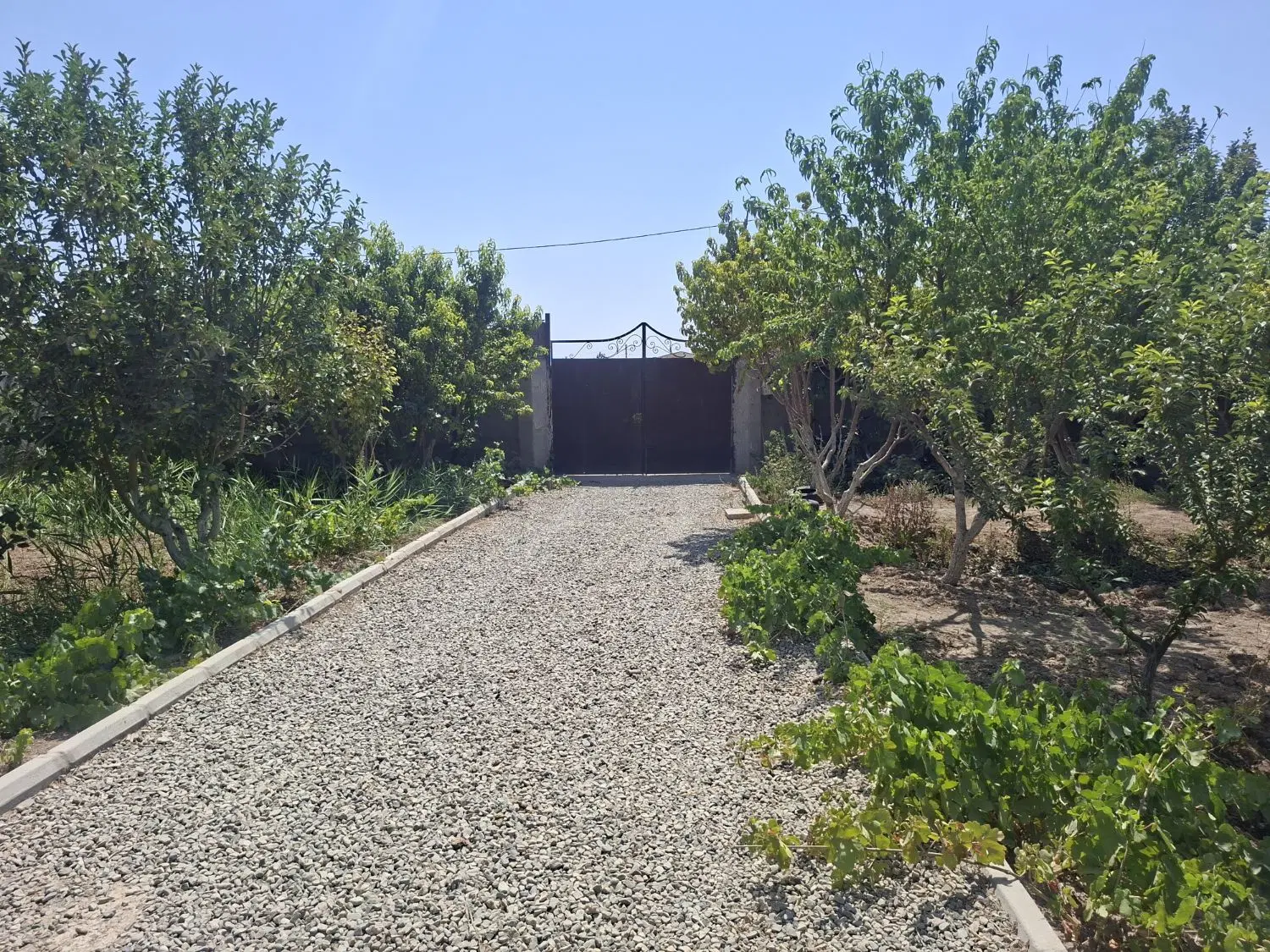 باغچه ۸۳۰ متر سند دار