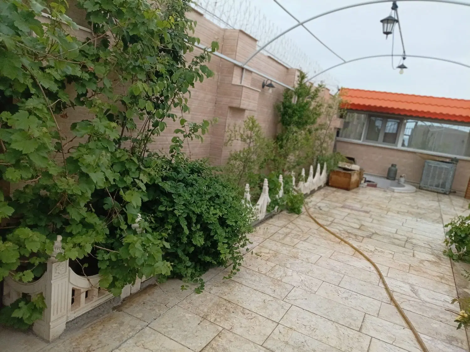همخونه