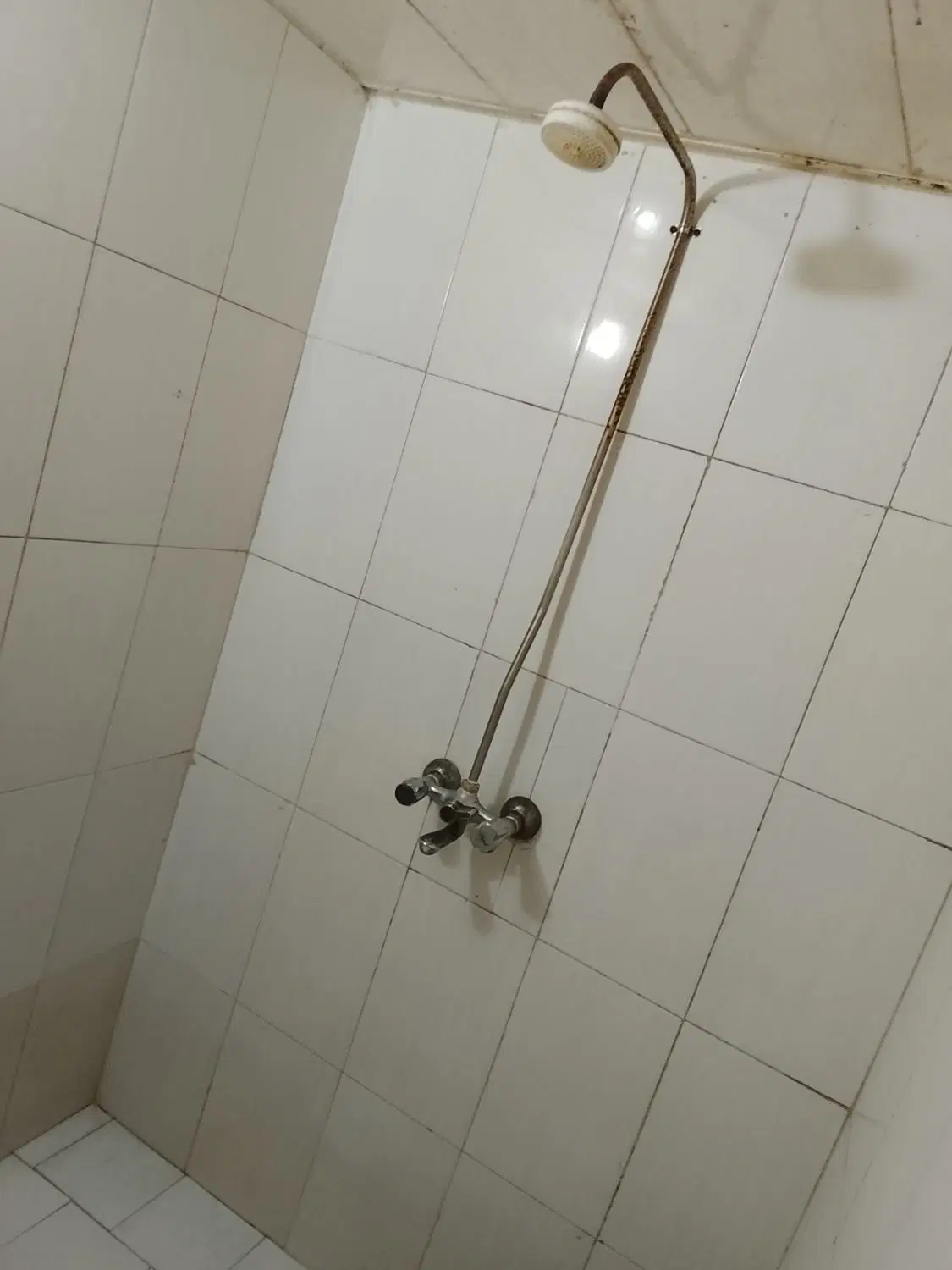 اتباع داده میشود