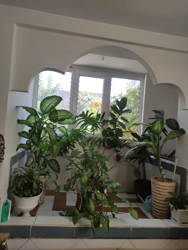 خانه برخیابان مناسب تجاری مسکونی