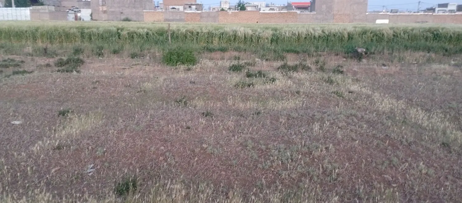 زمین ۱۰۰متری مناسب سرمایه گذاری