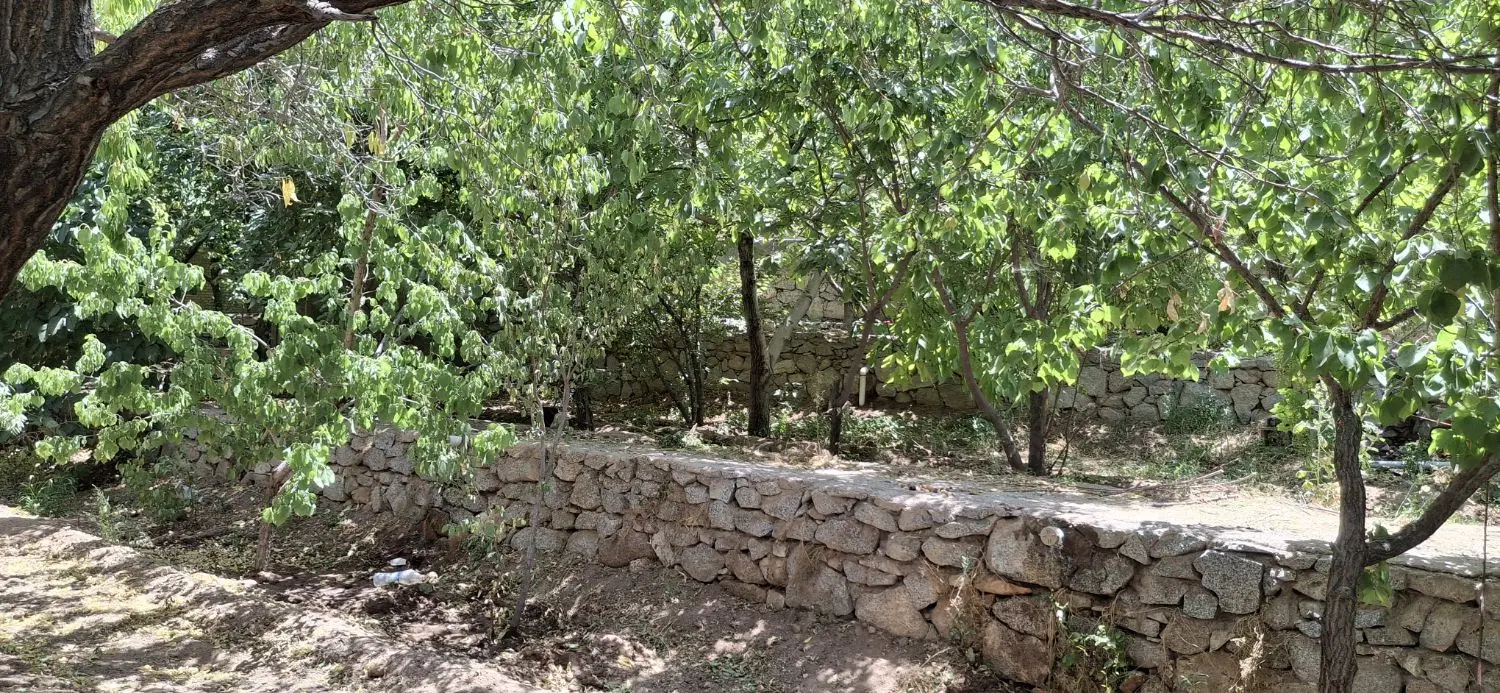 باغ دره شیر سانیچ