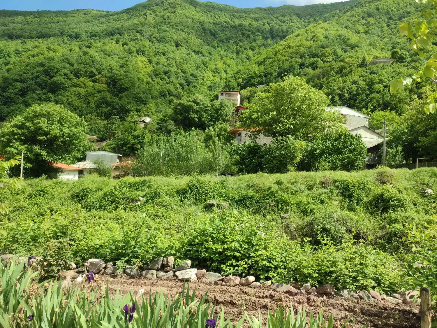 اجاره ویلای جنگلی کوهستانی در روستای خلیندره