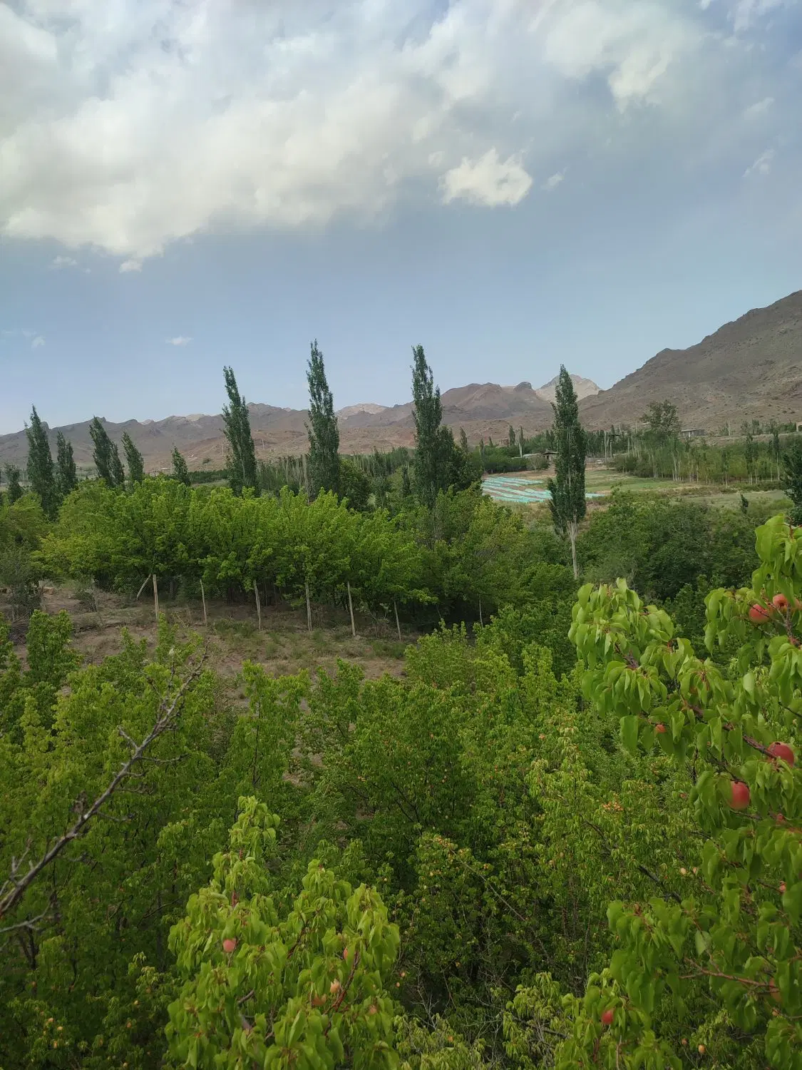 خانه باغ در گور ساردوئیه