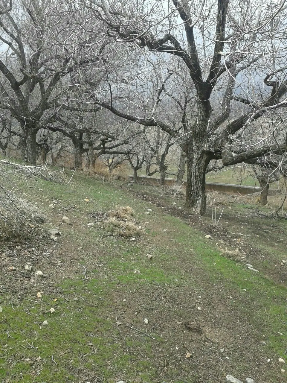 فروش ملک در ساردوئیه خافکو