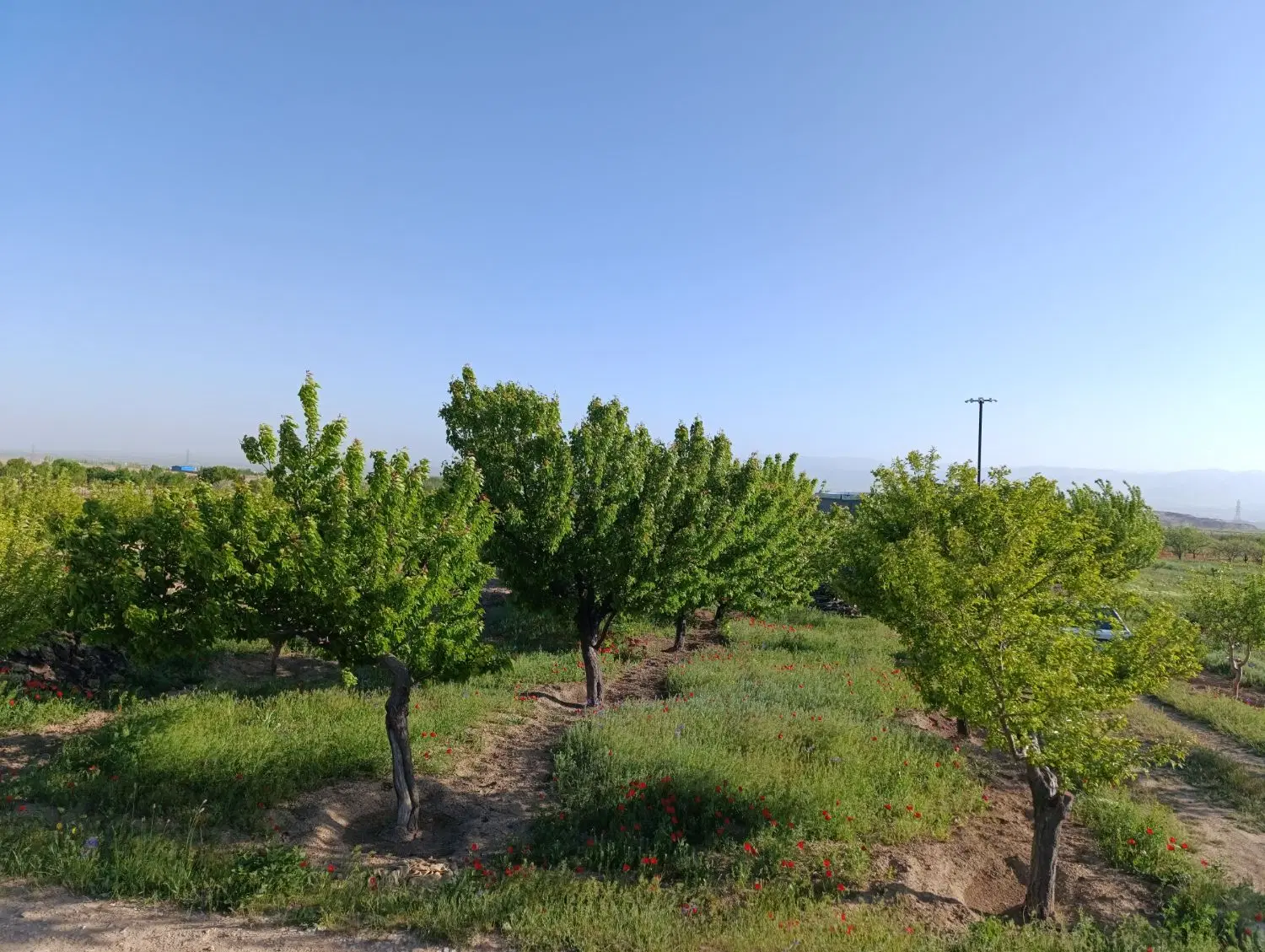 باغ روستای اژدهاتو