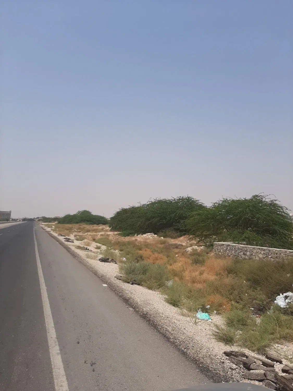 زمین بر جاده ساحلی دلوار