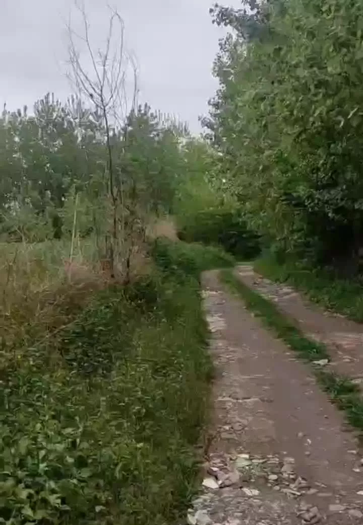 فروش زمین داخل طرح هادی