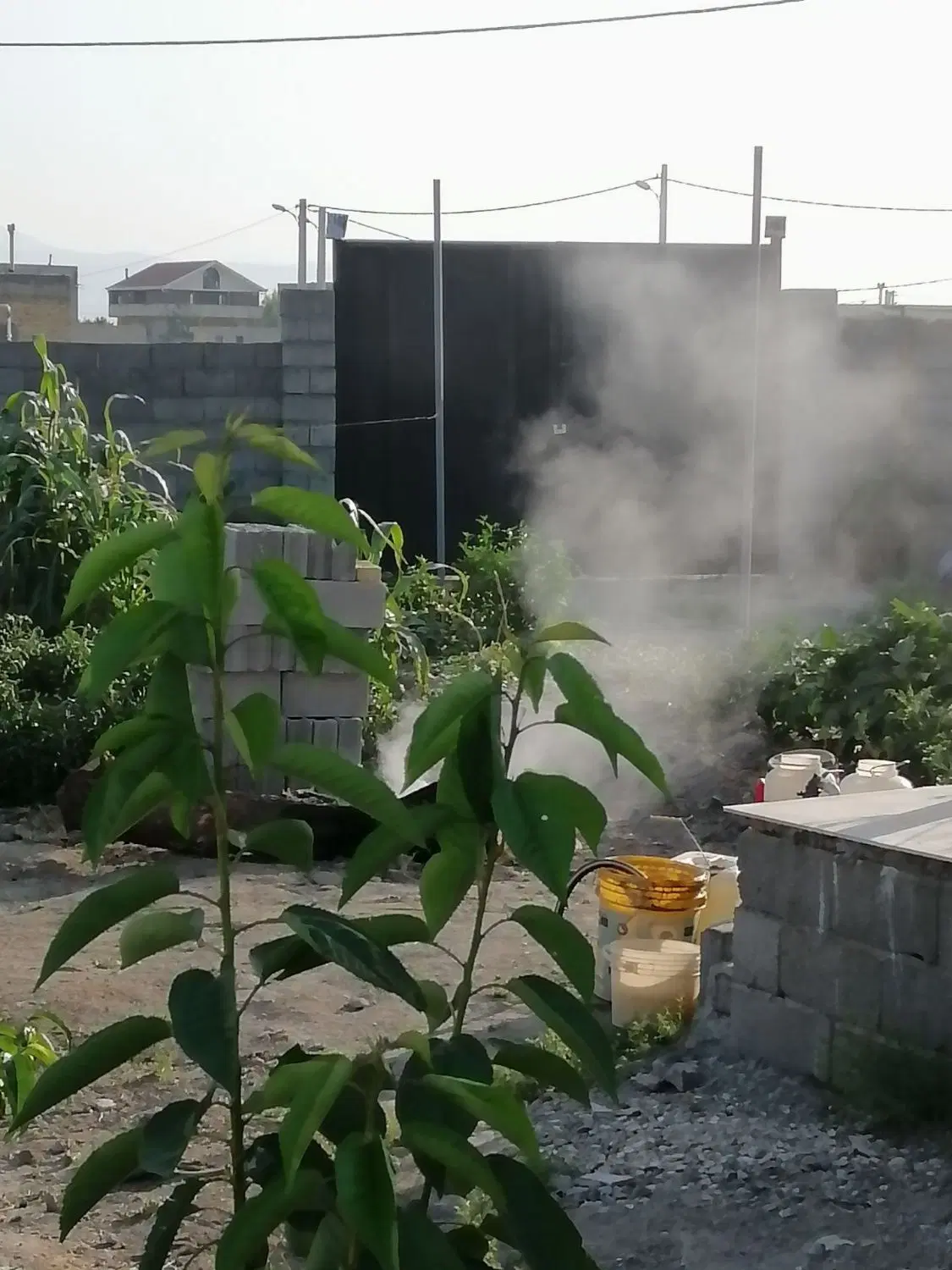 زمین ویلای اردشه