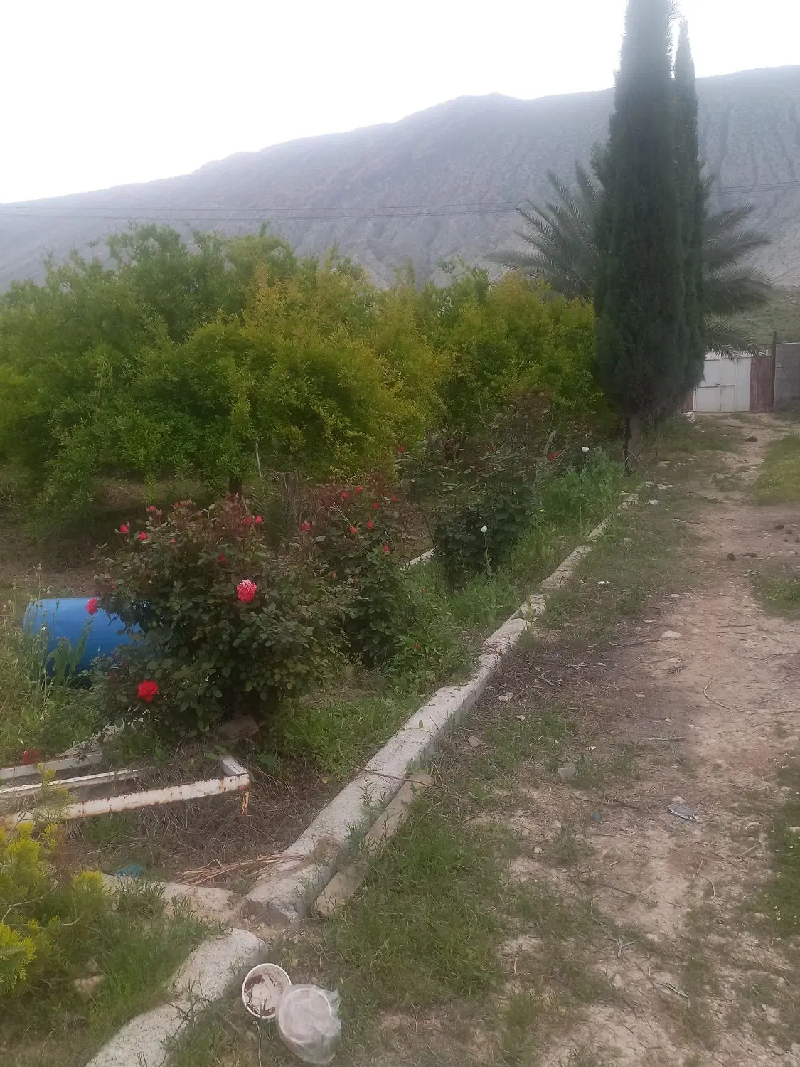 زمین باغچه