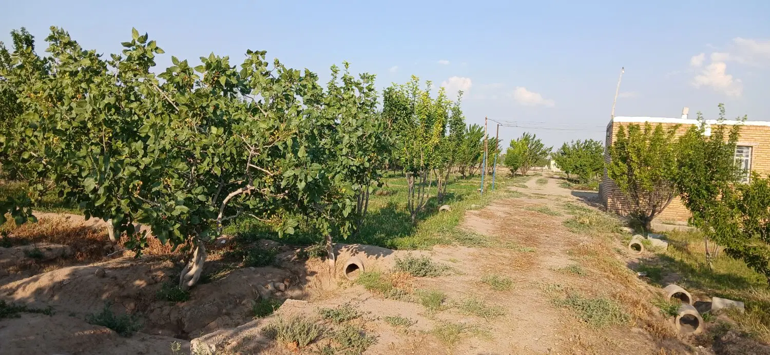 باغ روستای. دولت اباد مرند