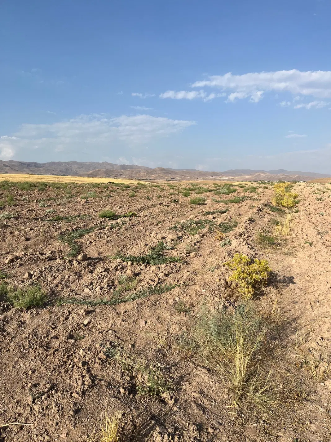زمین رشتقون