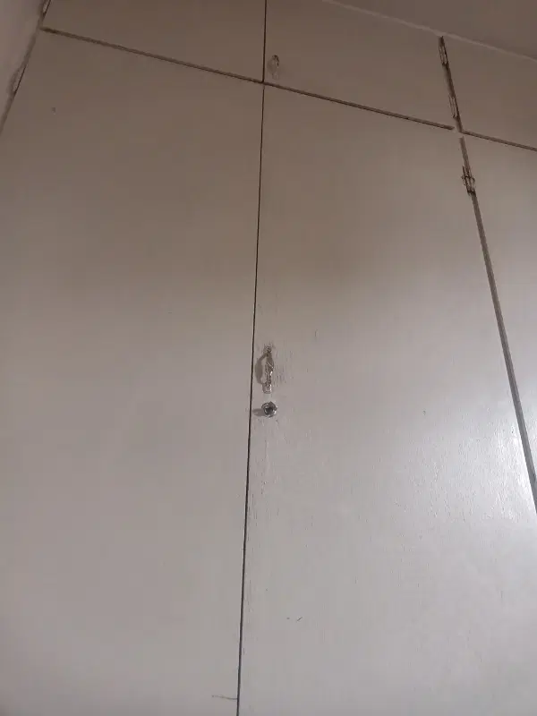 هم خانه