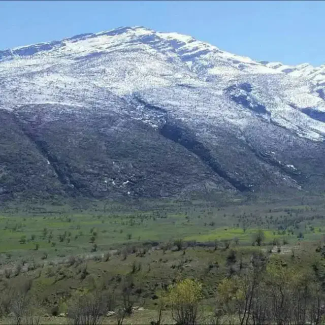 زمین کشاورزی