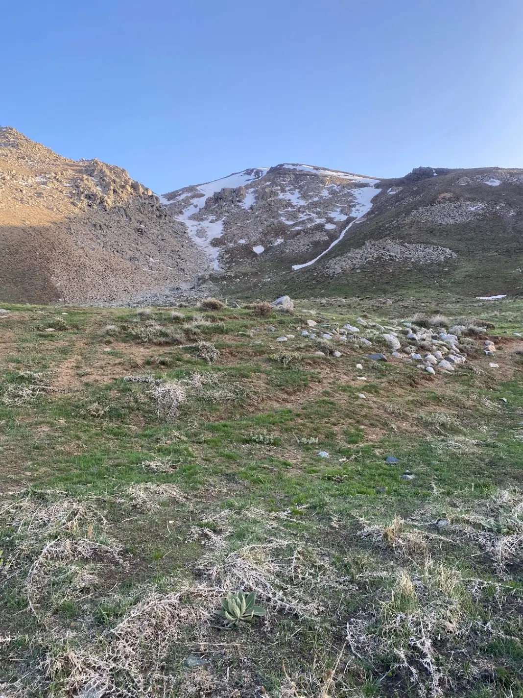 فروش زمین برای باغ در شهر زیبای آستانه