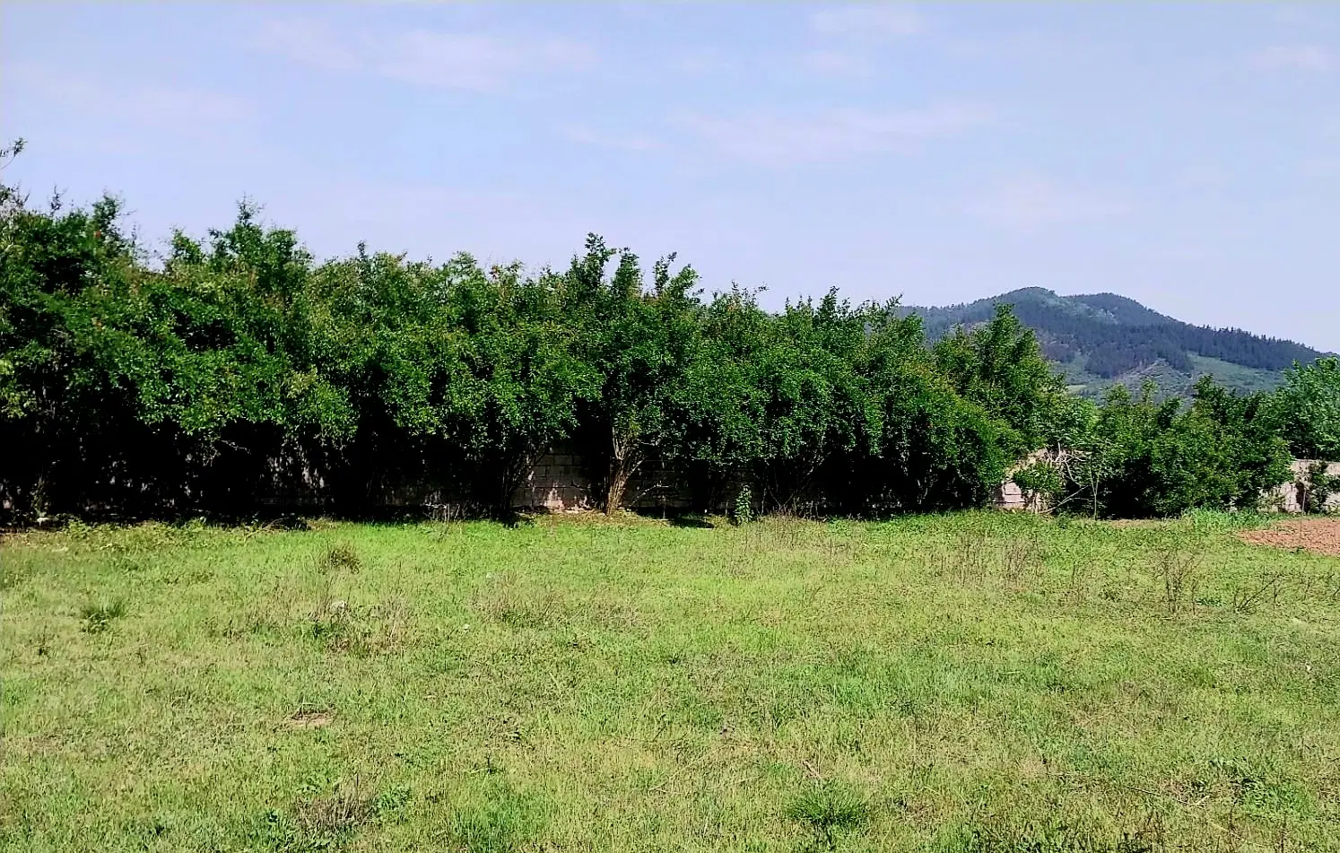 ۴۰۰متر زمین فروشی ،درروستای توریستی شیراباد