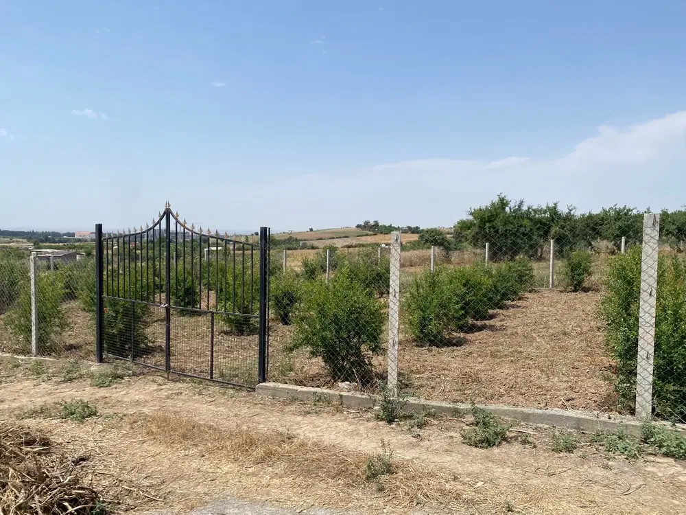 باغ انار ۳۵۰متر
