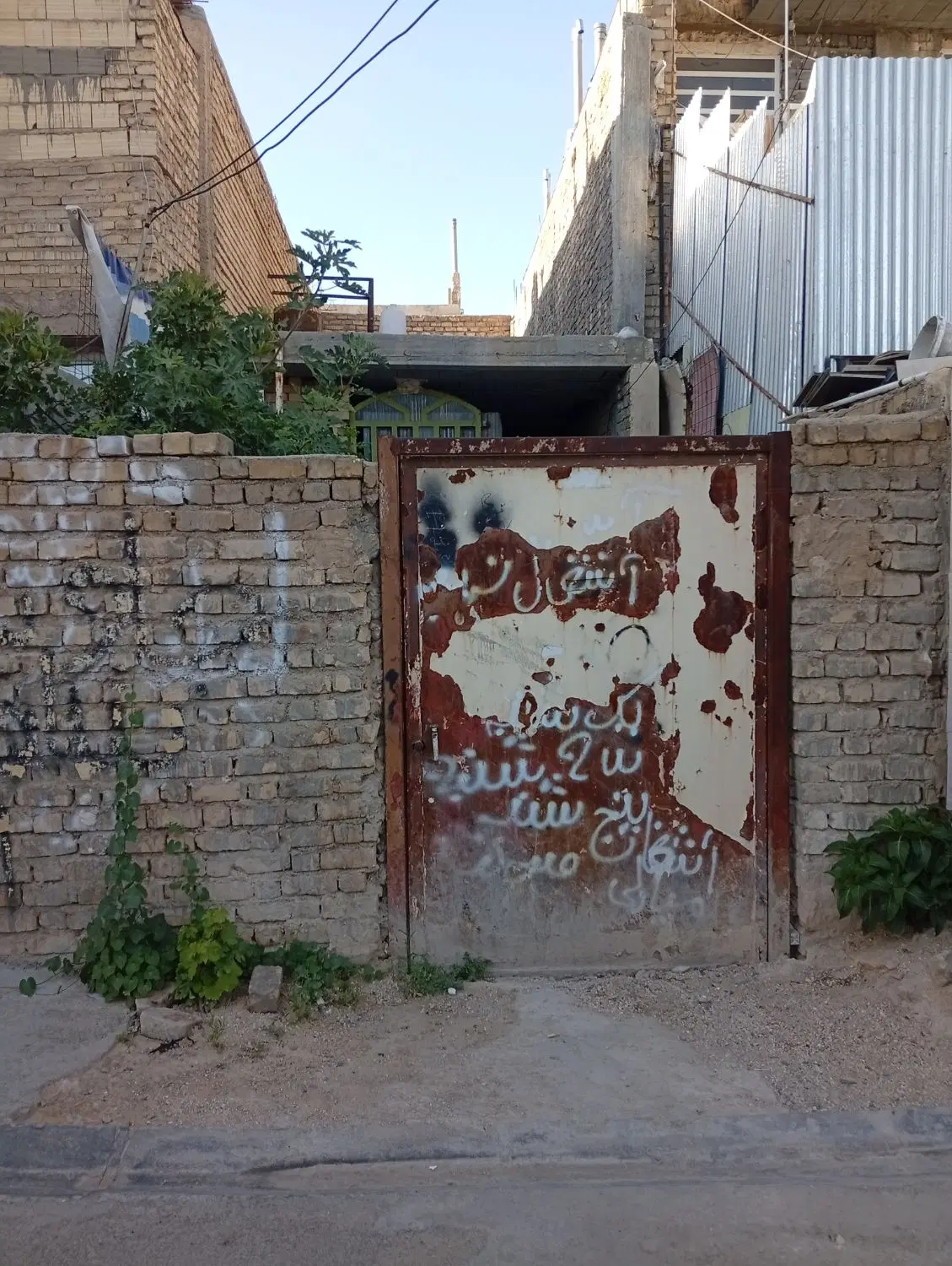 اسکلت