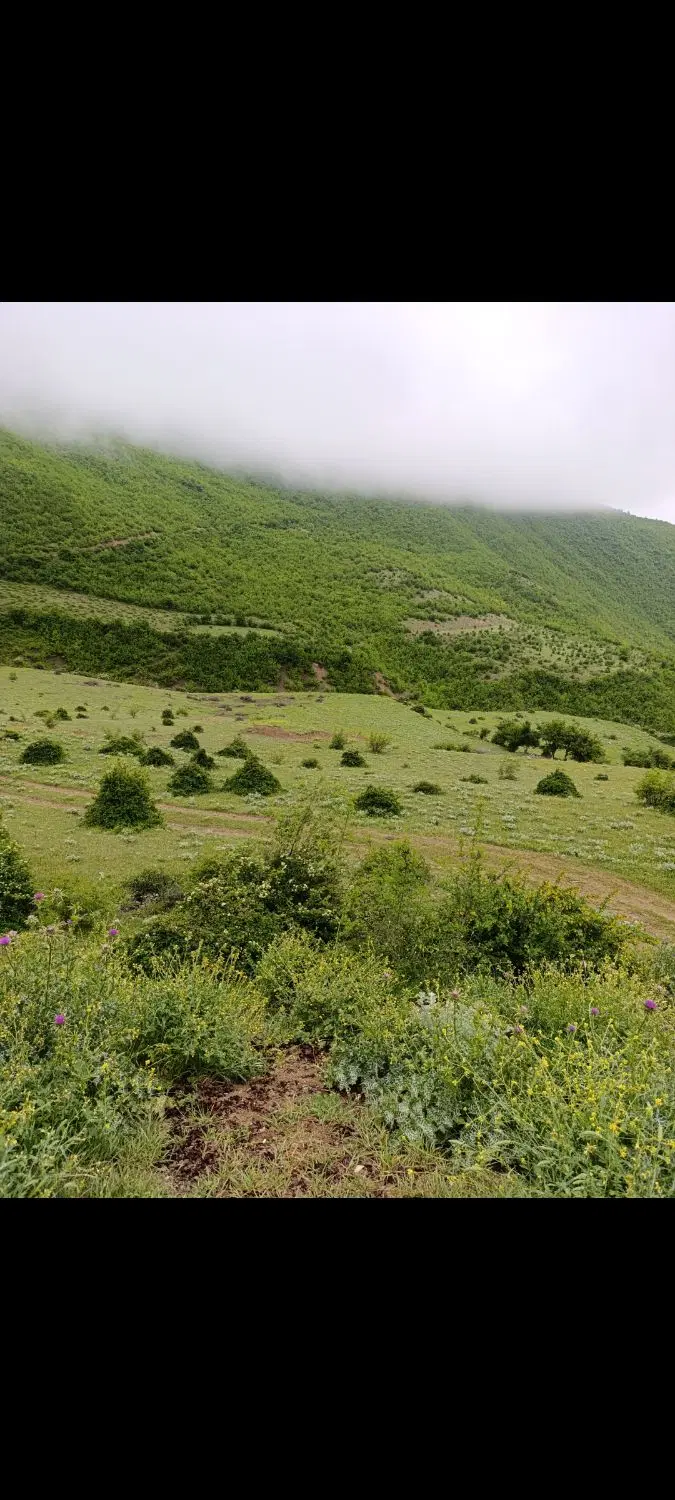 ۳۰۰۰ زمین الحاق به بافت