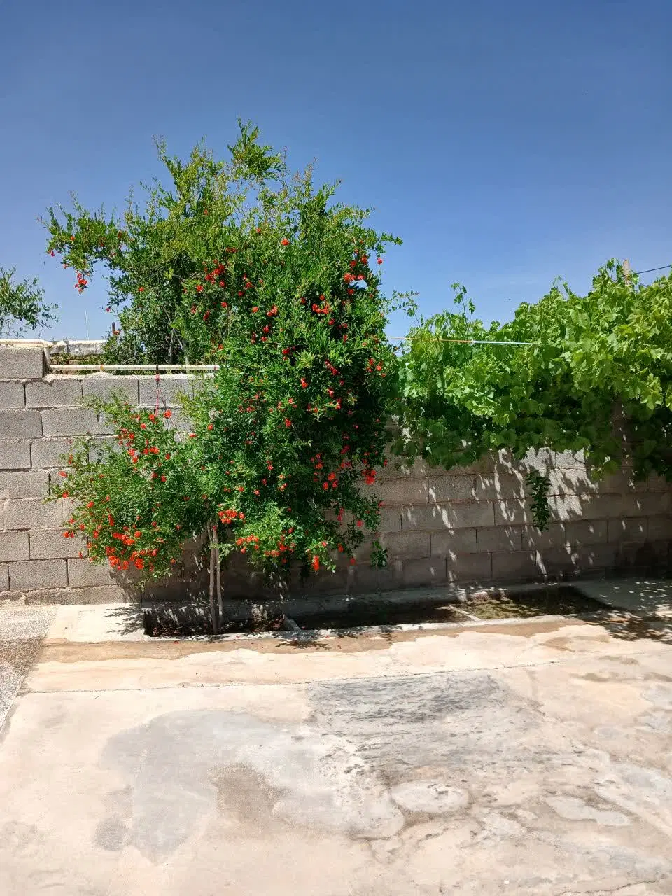فروش منزل مسکونی کارگاهی روستا ۴۰ کیلومتری شیراز