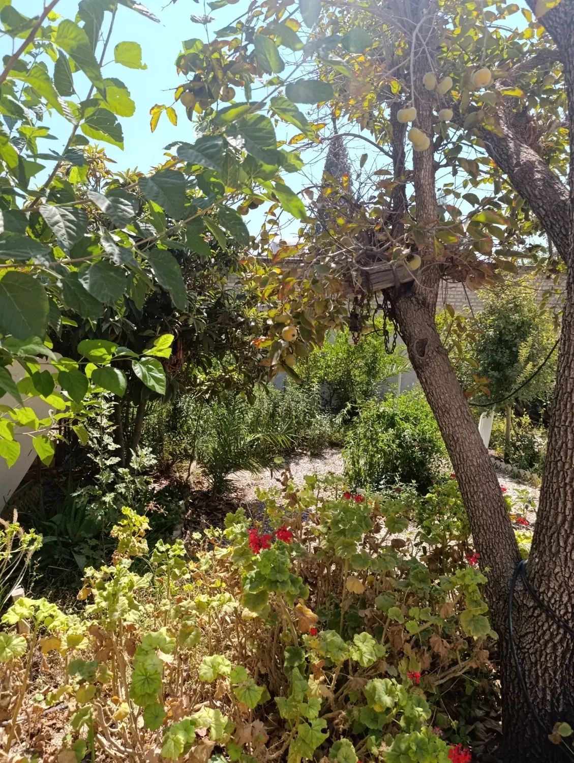 خانه ویلایی