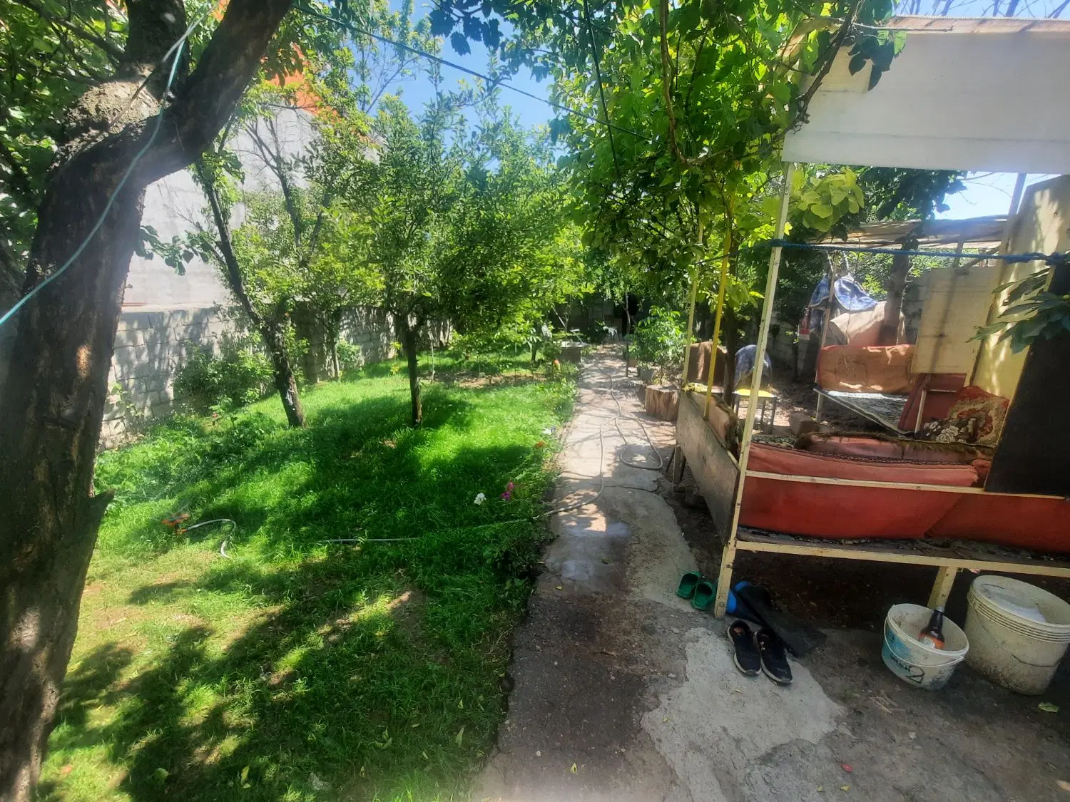 زمین و باغ مسکونی