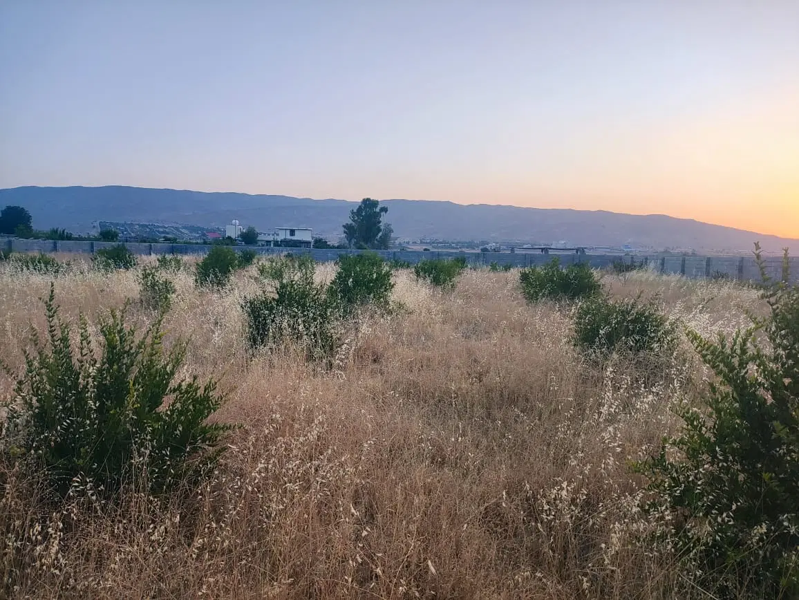 زمین باغ روستای شهرستان