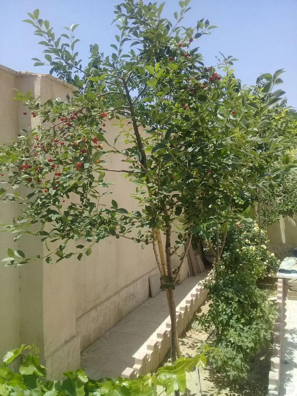 خانه ویلایی در صفادشت