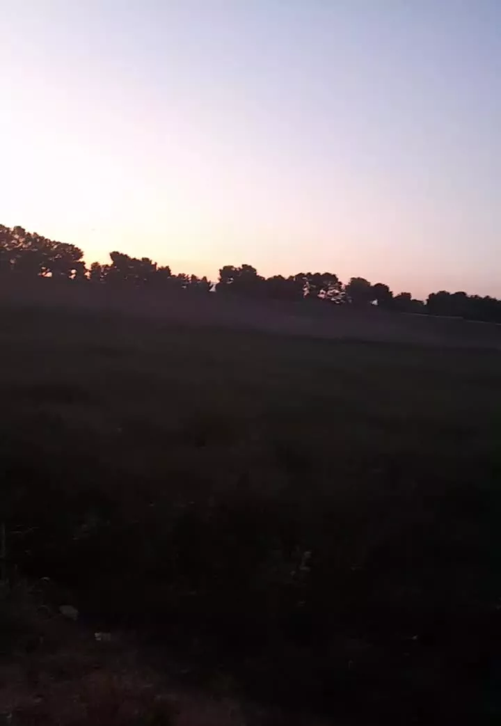 زمین برای سرمایه گذاری