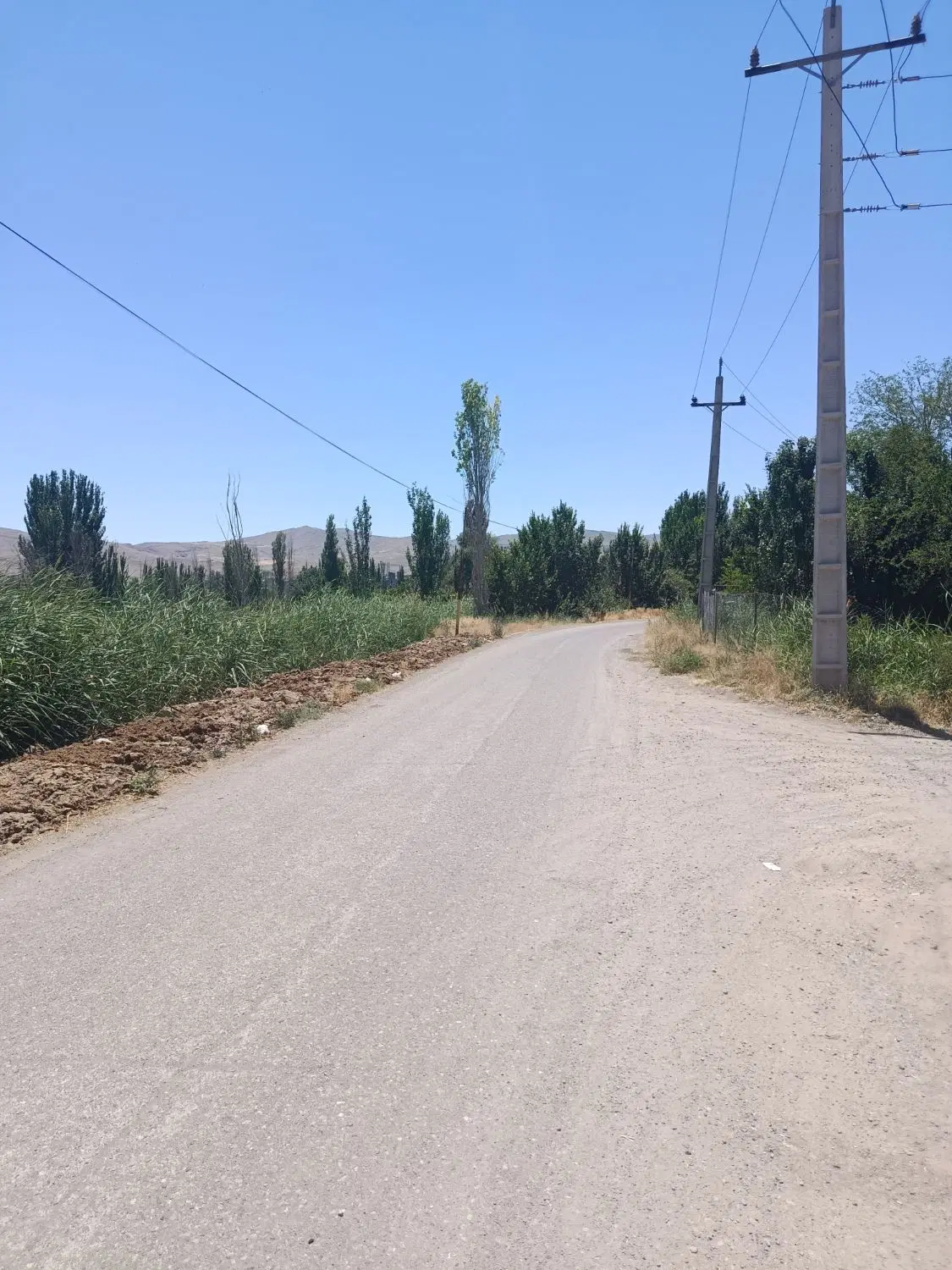 زمین