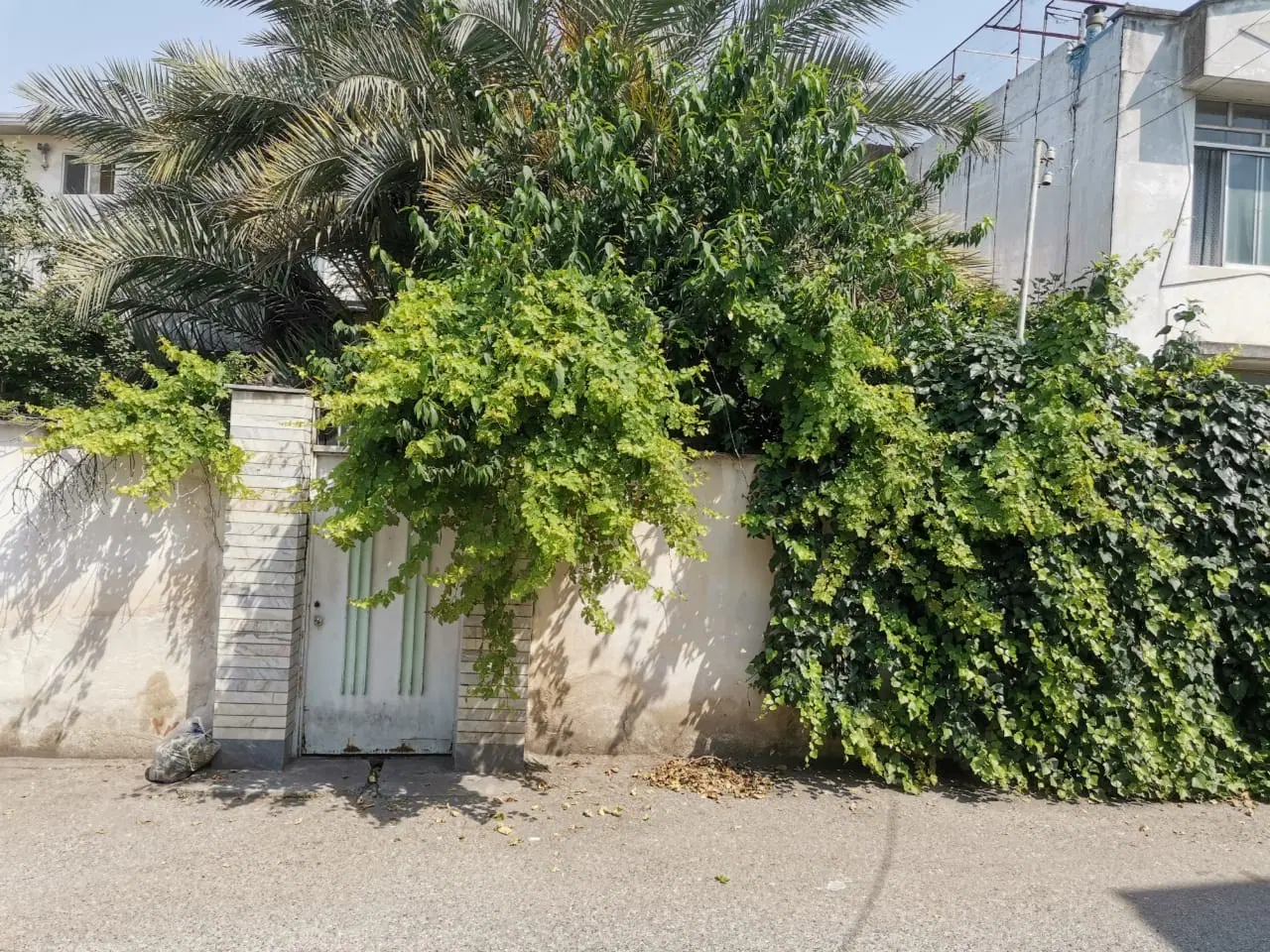 خانه حیاط دار