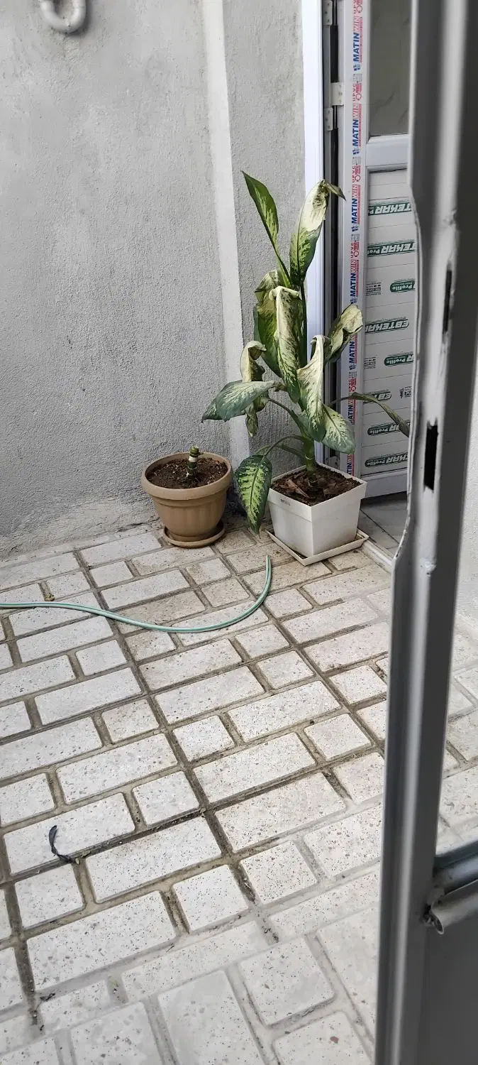 خونه ۵۰متری اناهیتا