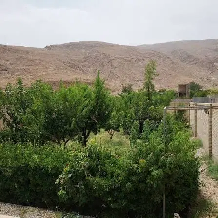 خانه باغ علی آباد پیشکوه