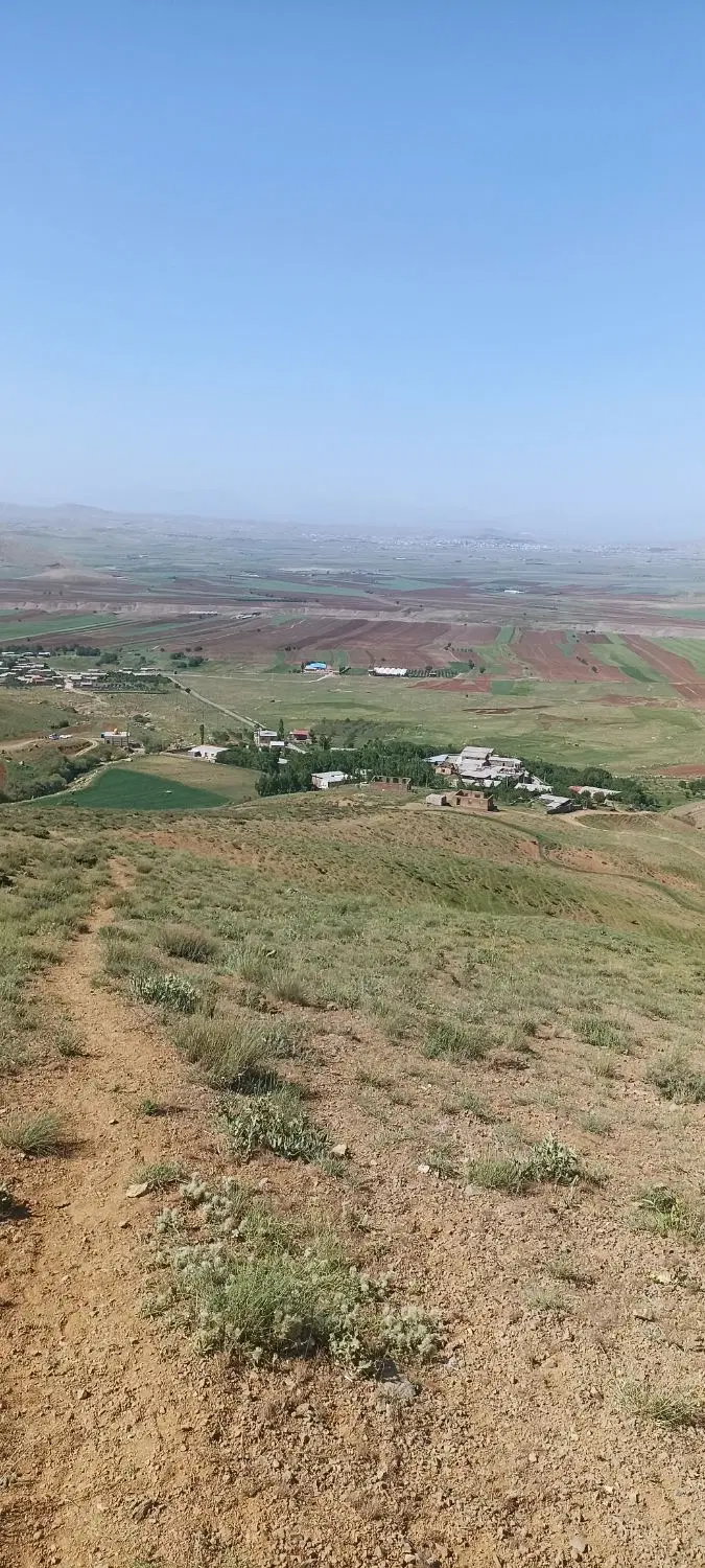 زمین کشاورزی باغی