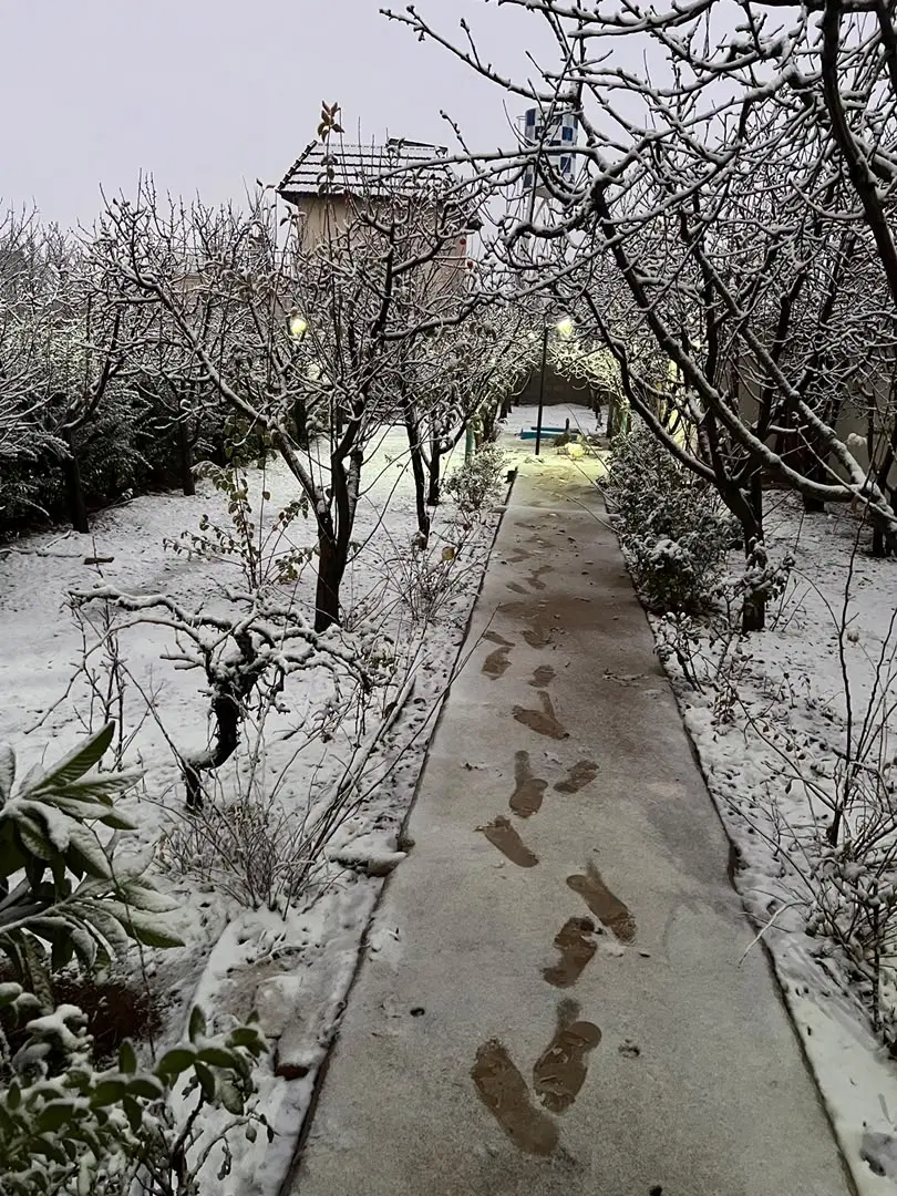 باغ کودیان