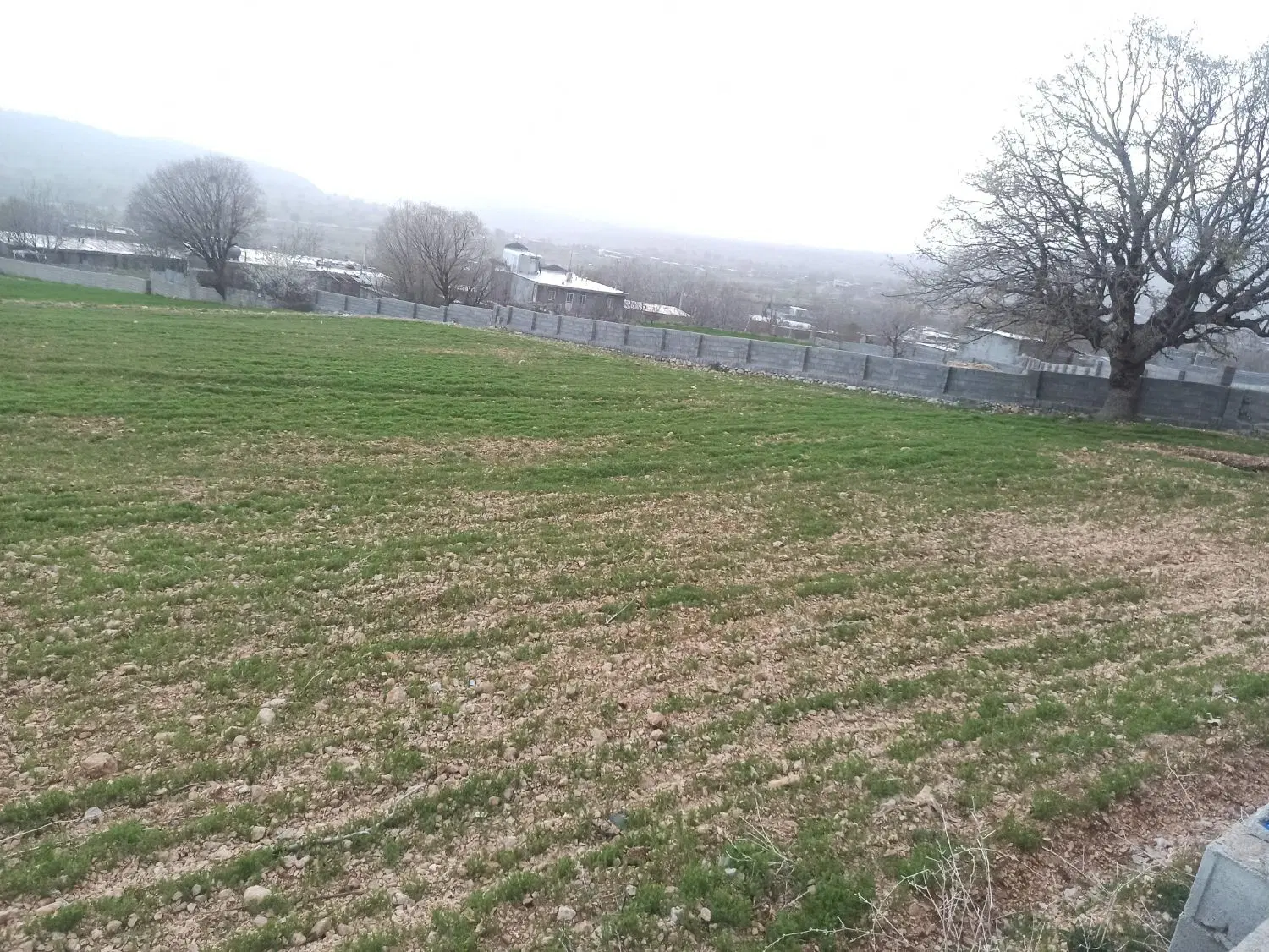 فروش زمین روستای گنجه ای بزرگ