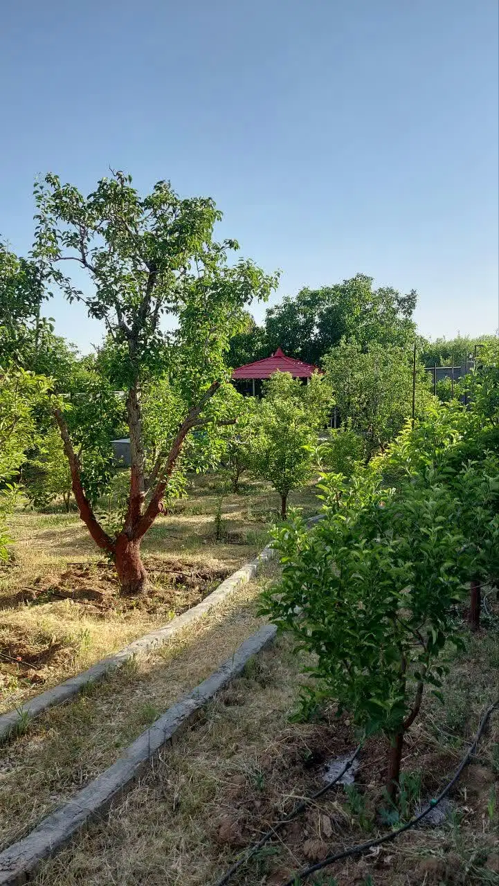 فروش باغچه ای نقلی در دل طبیعت زیبای جابان دماوند