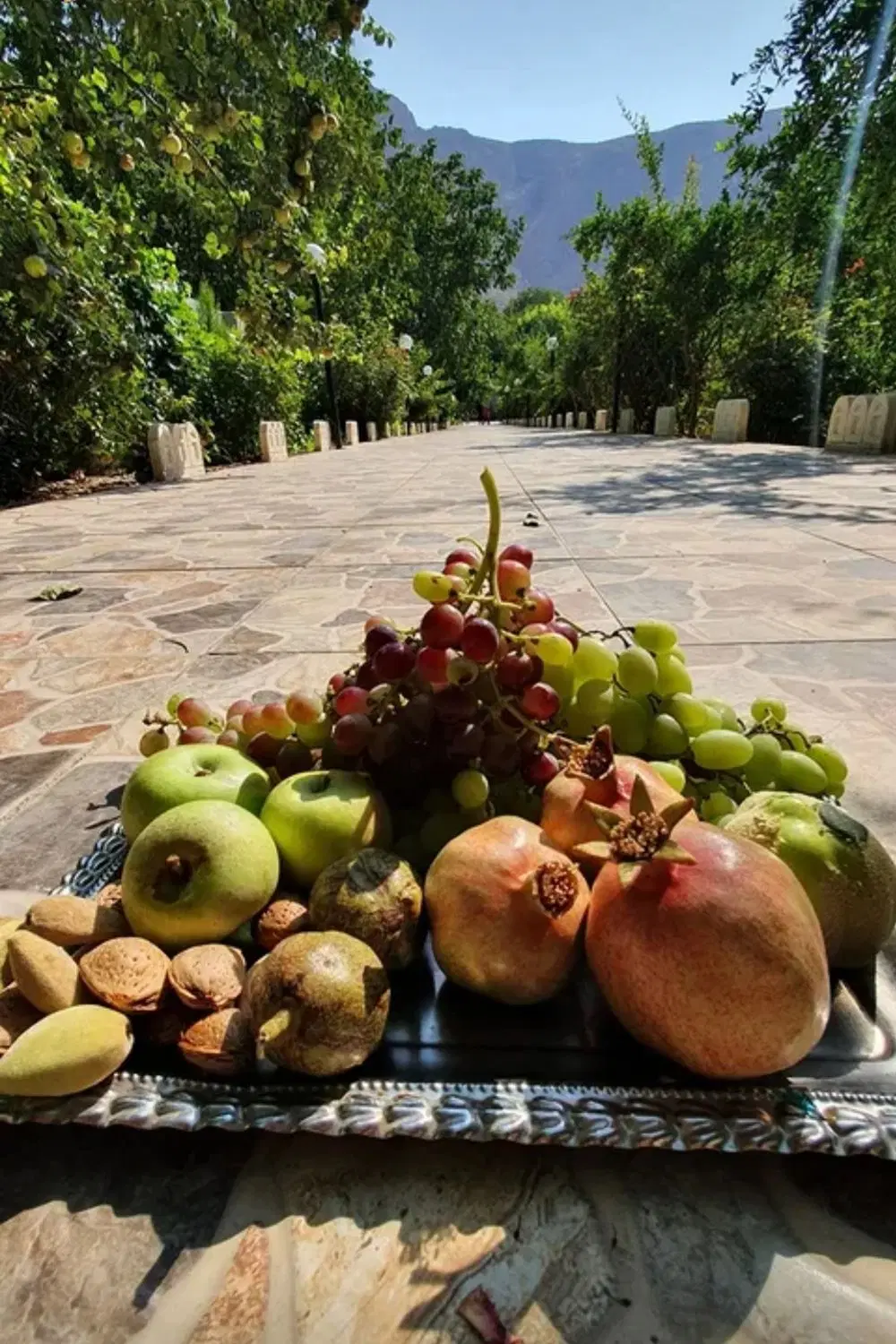 باغ ویلایی ۴۰۰۰متری