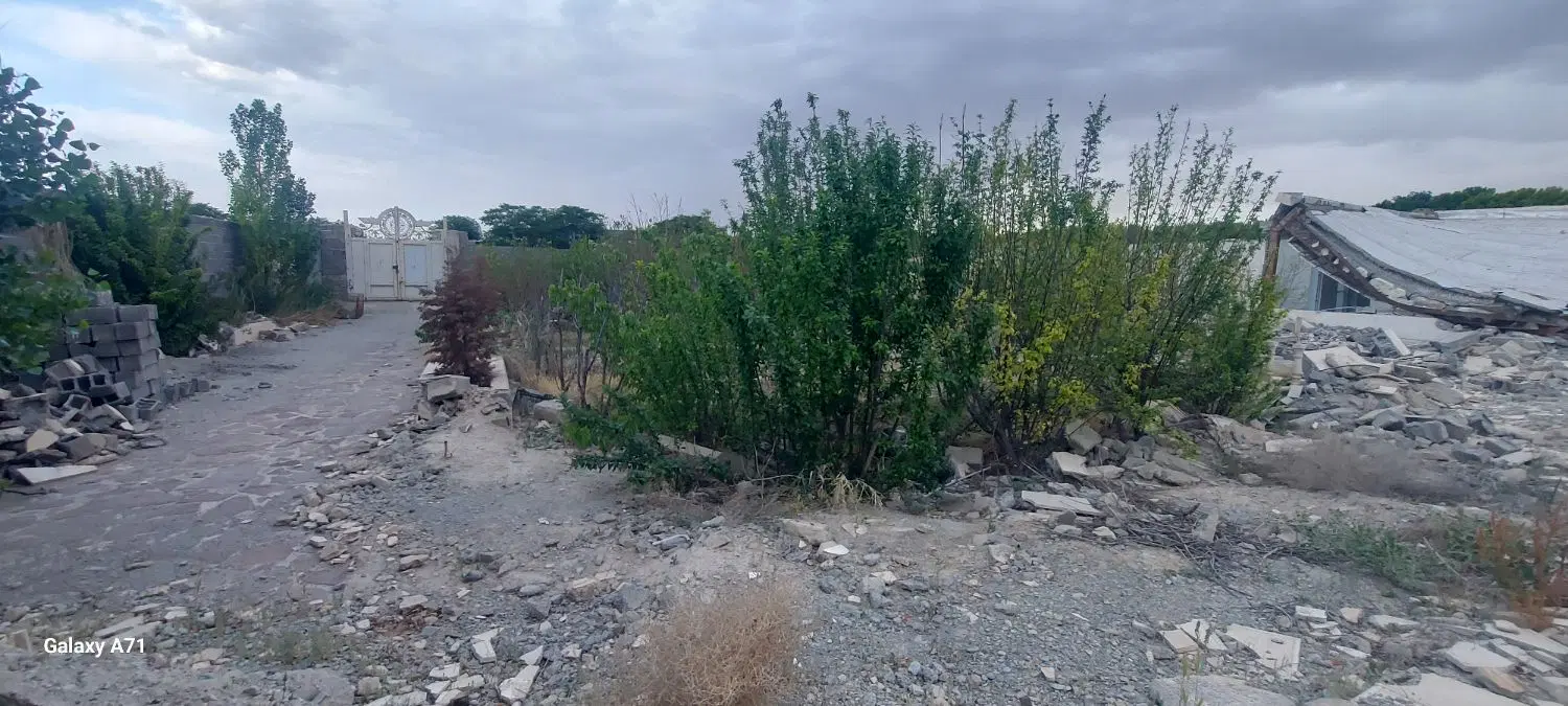 زمین