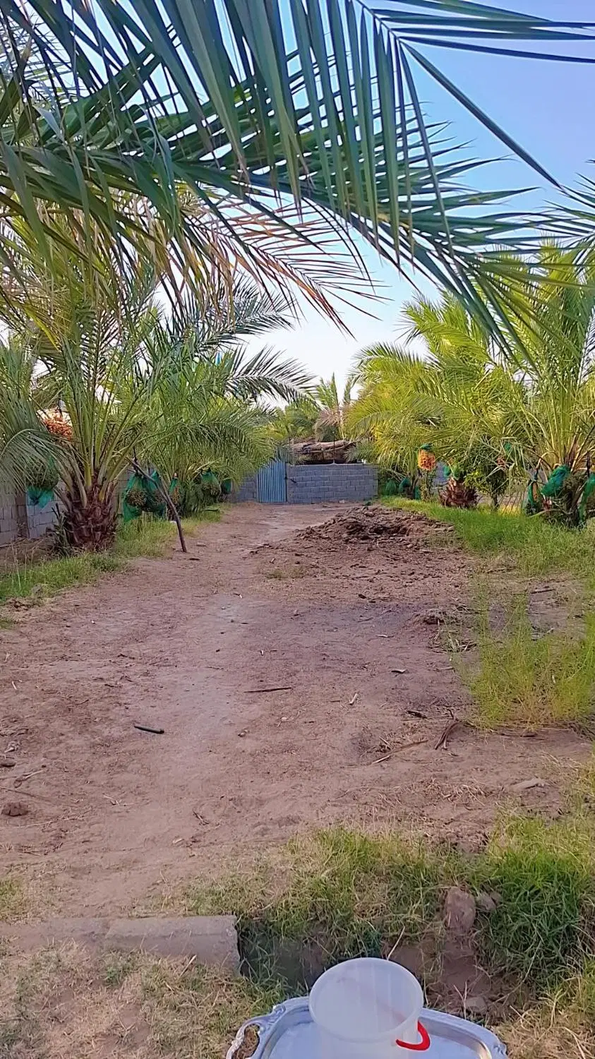 فروش باغ