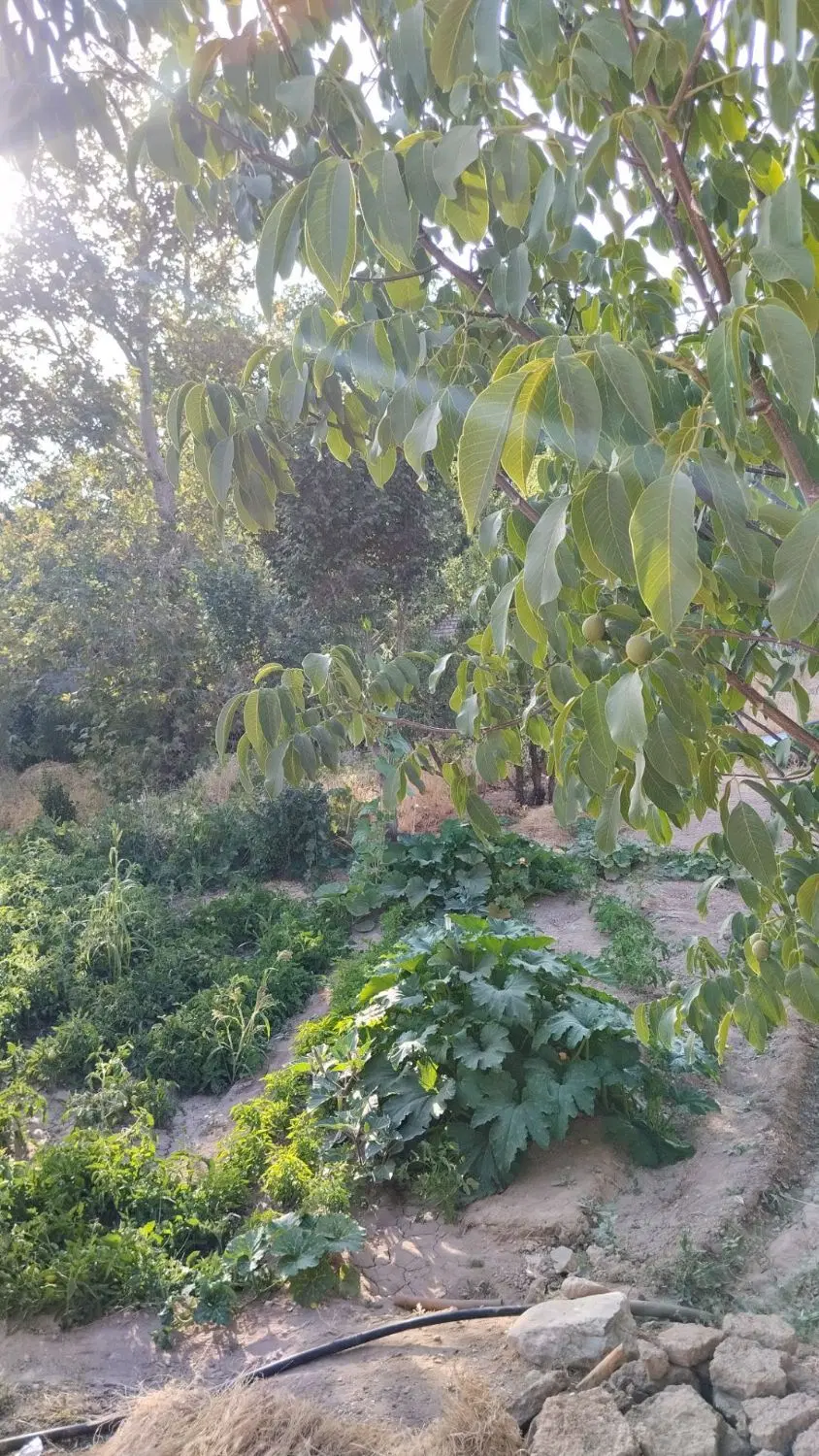 فروش زمین مسکونی در روستای گایکان توافقی