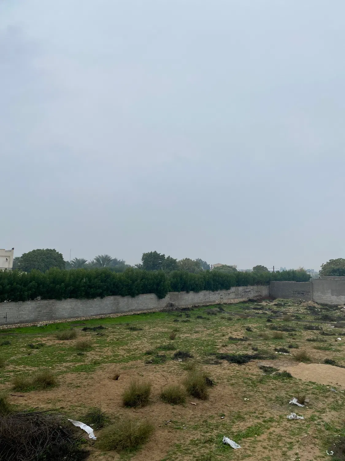 زمین تجاری گورک سلیمانی