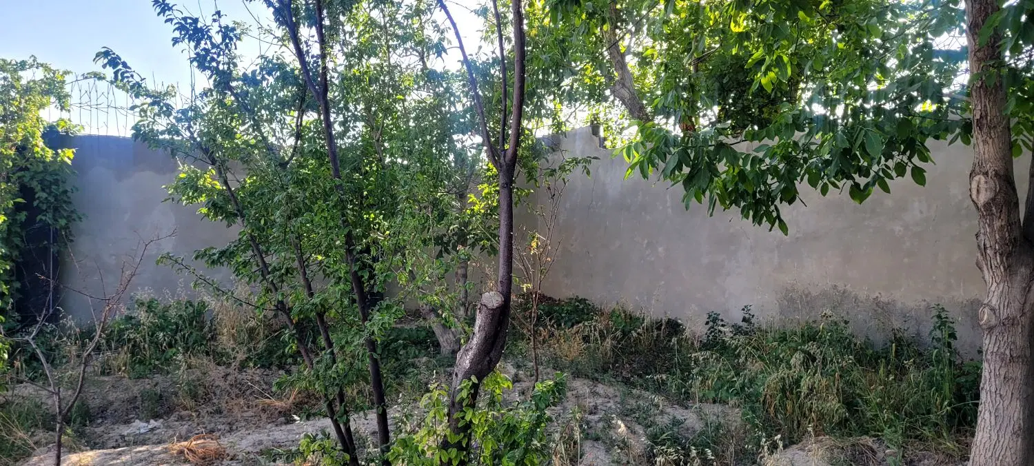 ۴۴۰متر۴دیواری سند تکبرگ*بکه شقایق