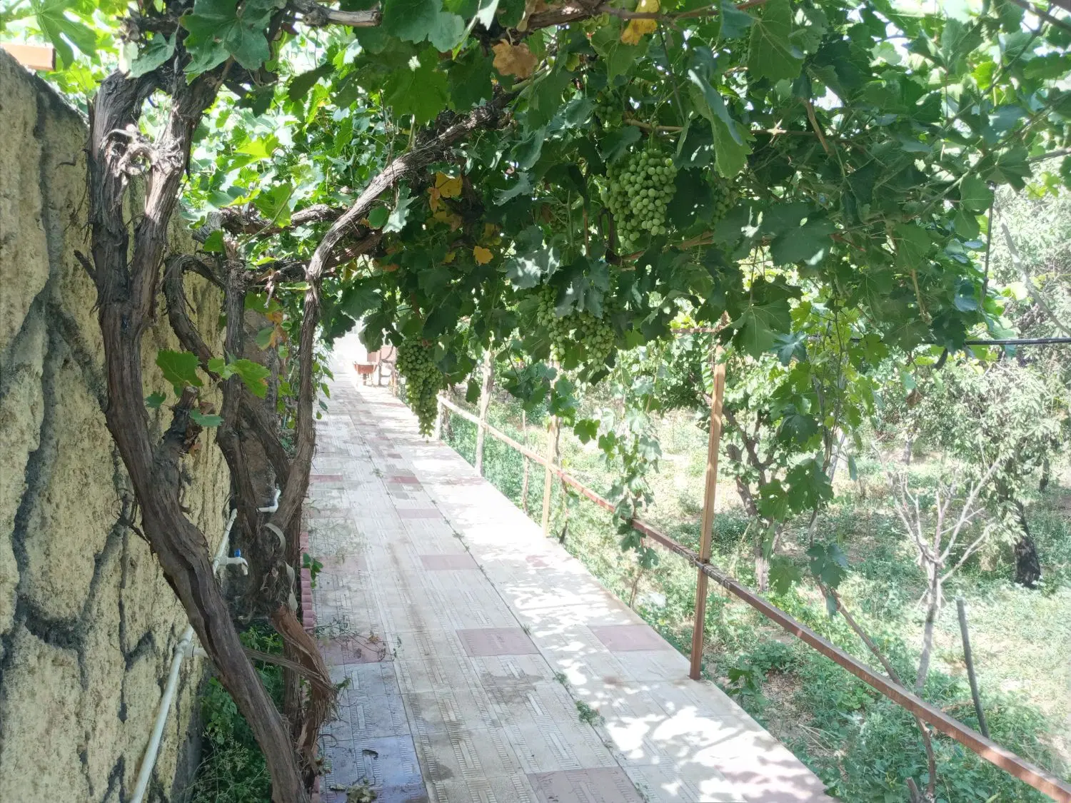 باغ ویلا۷۰۰متر شمالی وغربی نبش کوچه