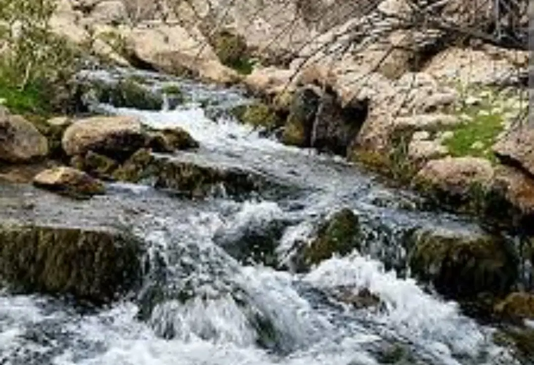 فروش زمین باغ شهری